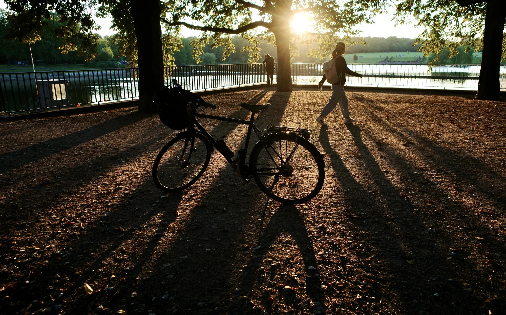 Autor: © Korneli Nastas. Alle Rechte vorbehalten.
