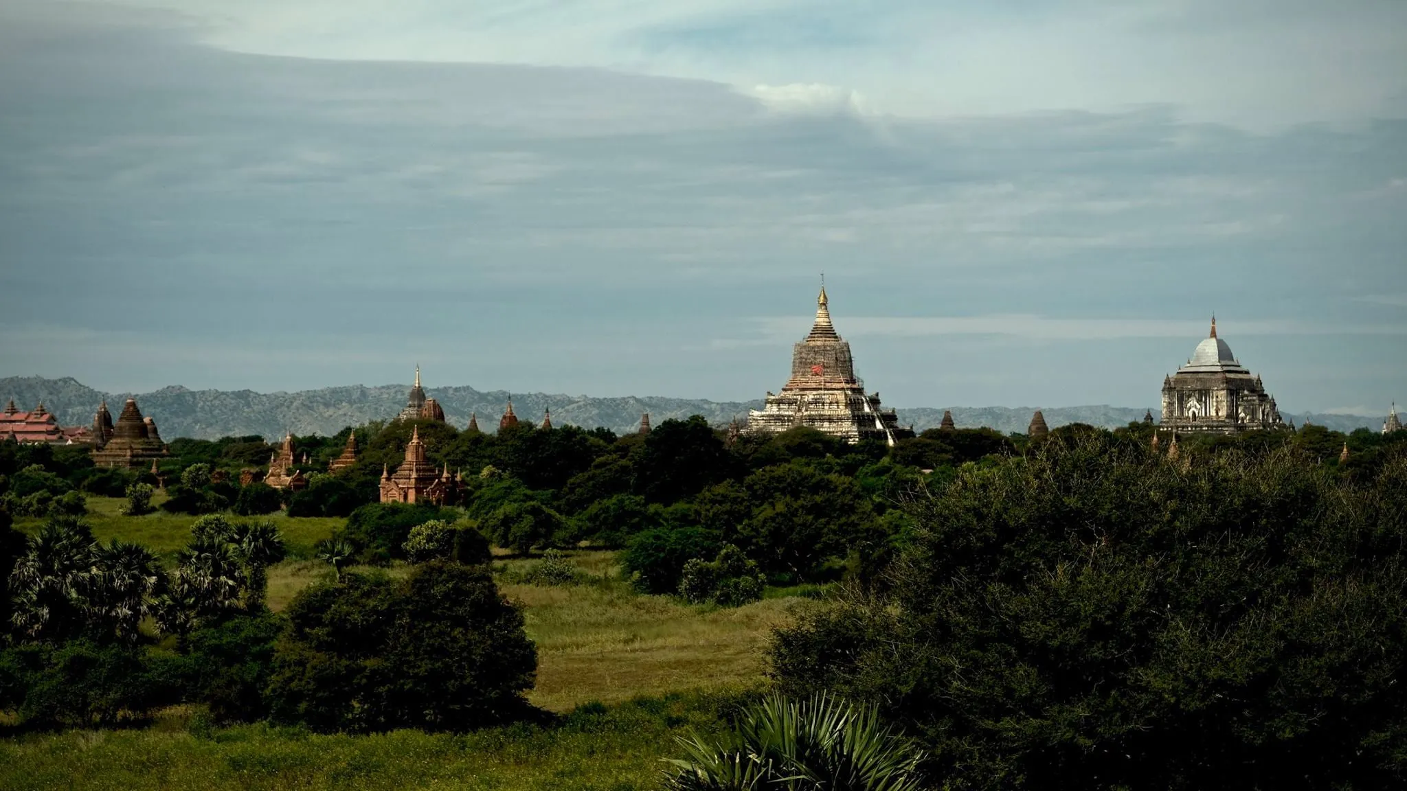 Autor: © Korneli Nastas. Alle Rechte vorbehalten.