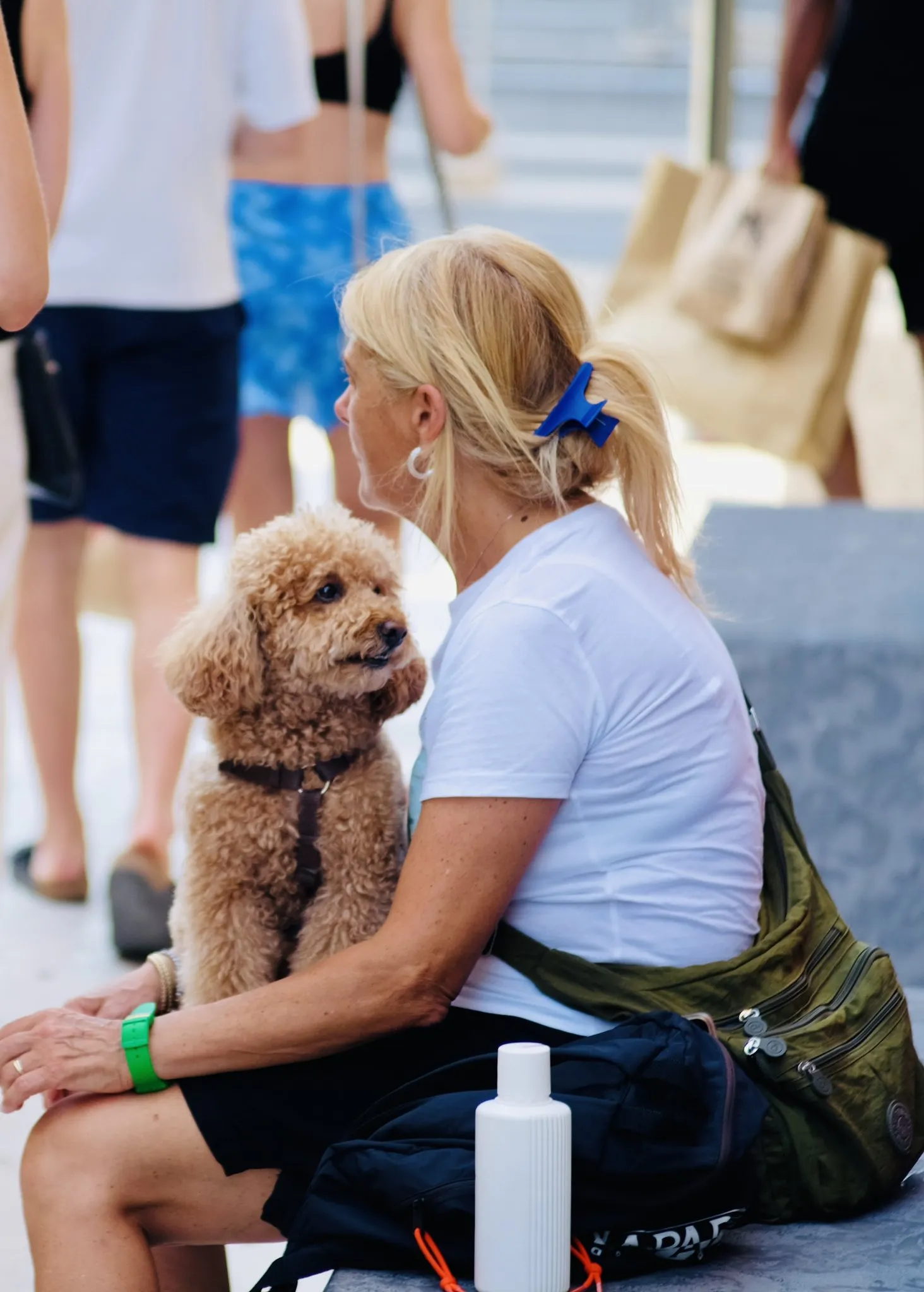 Autor: © Korneli Nastas. Alle Rechte vorbehalten.