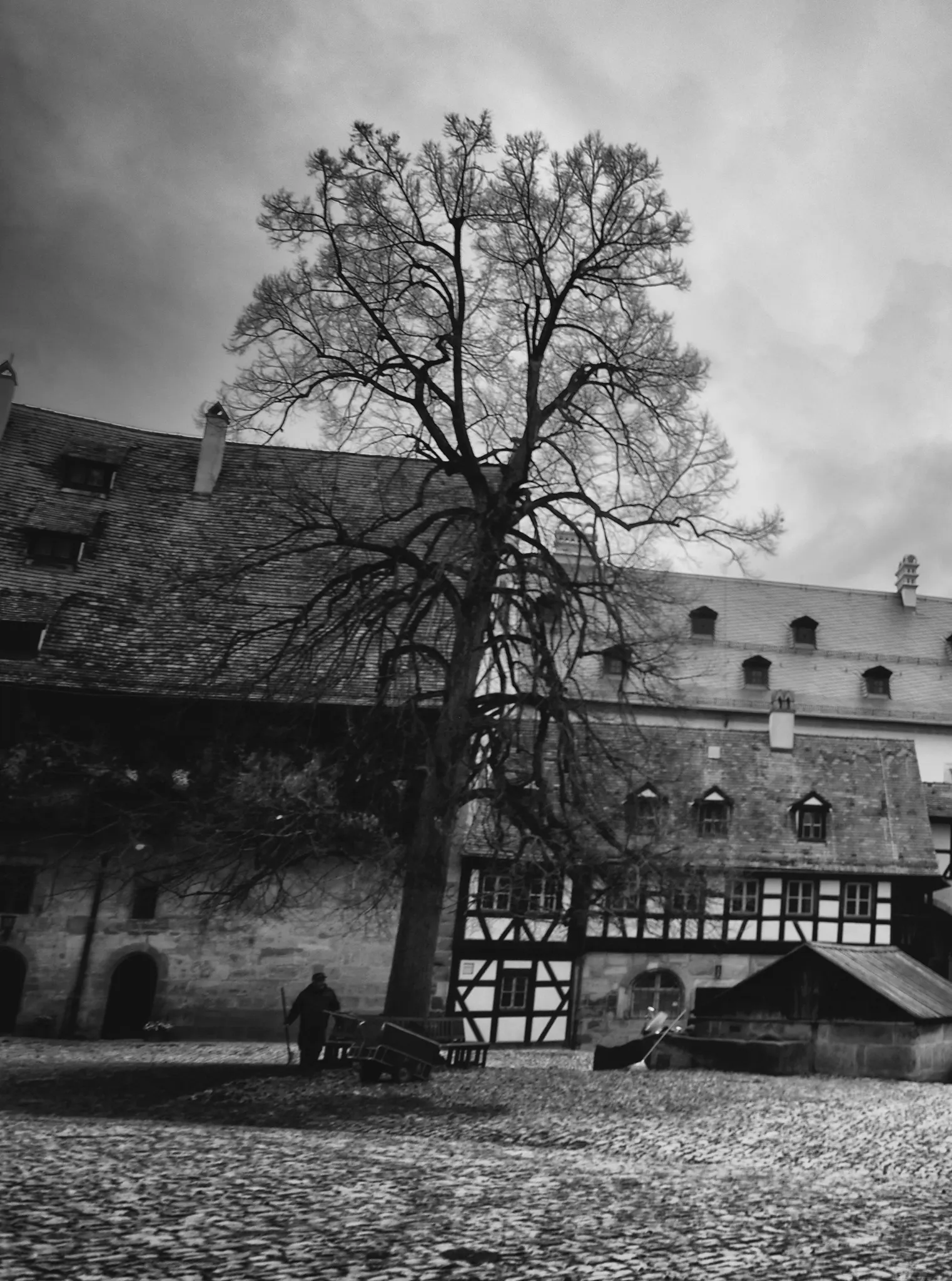 Autor: © Korneli Nastas. Alle Rechte vorbehalten.