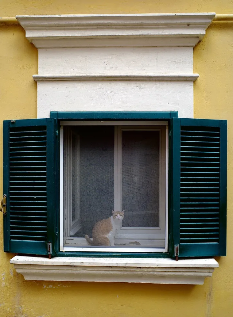 Autor: © Korneli Nastas. Alle Rechte vorbehalten.