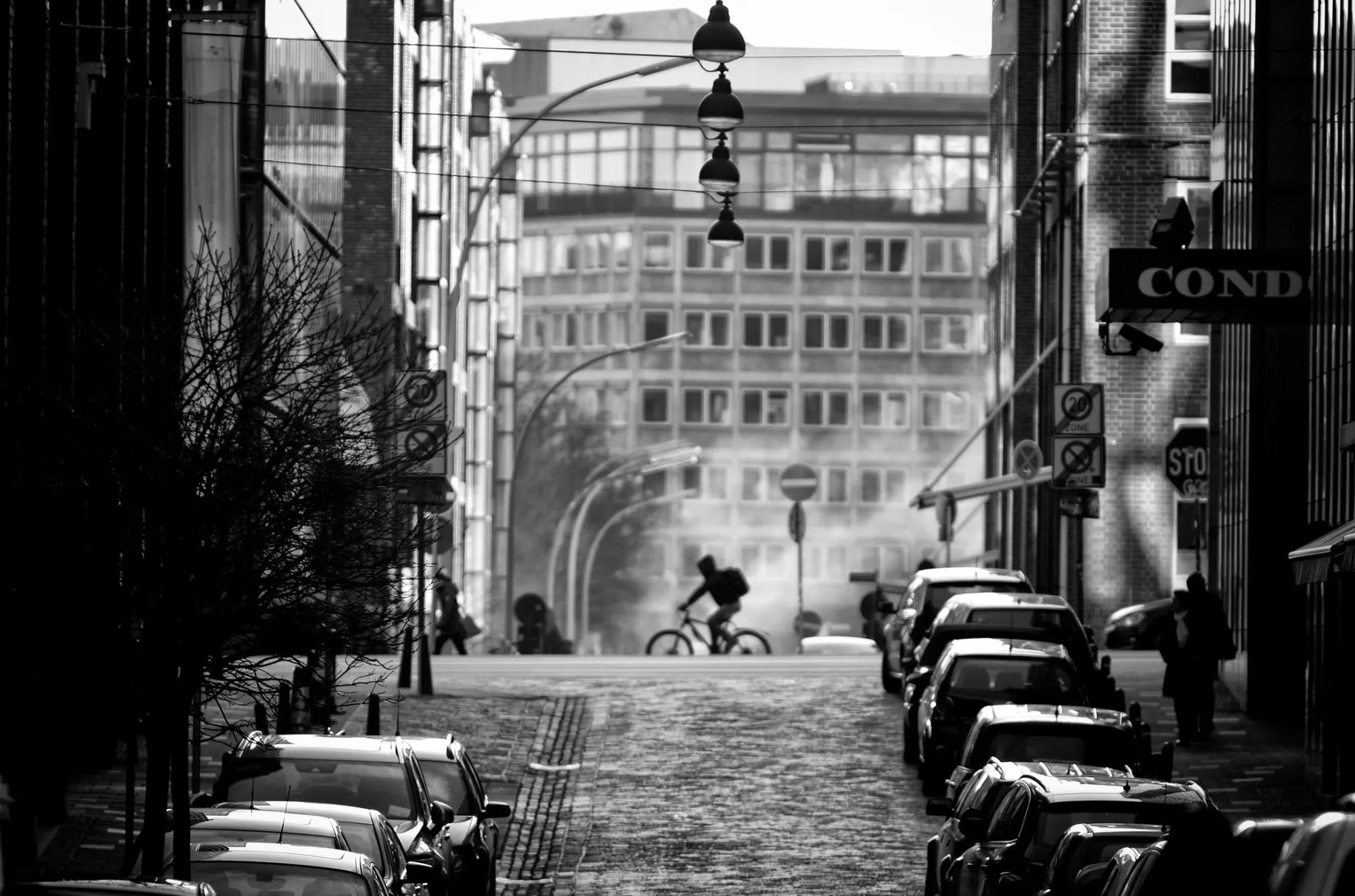 Autor: © Korneli Nastas. Alle Rechte vorbehalten.