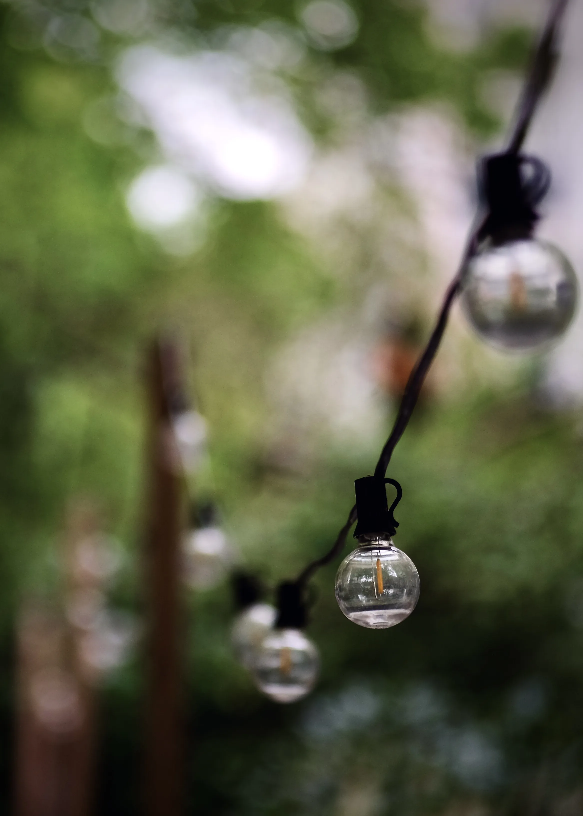 Autor: © Korneli Nastas. Alle Rechte vorbehalten.