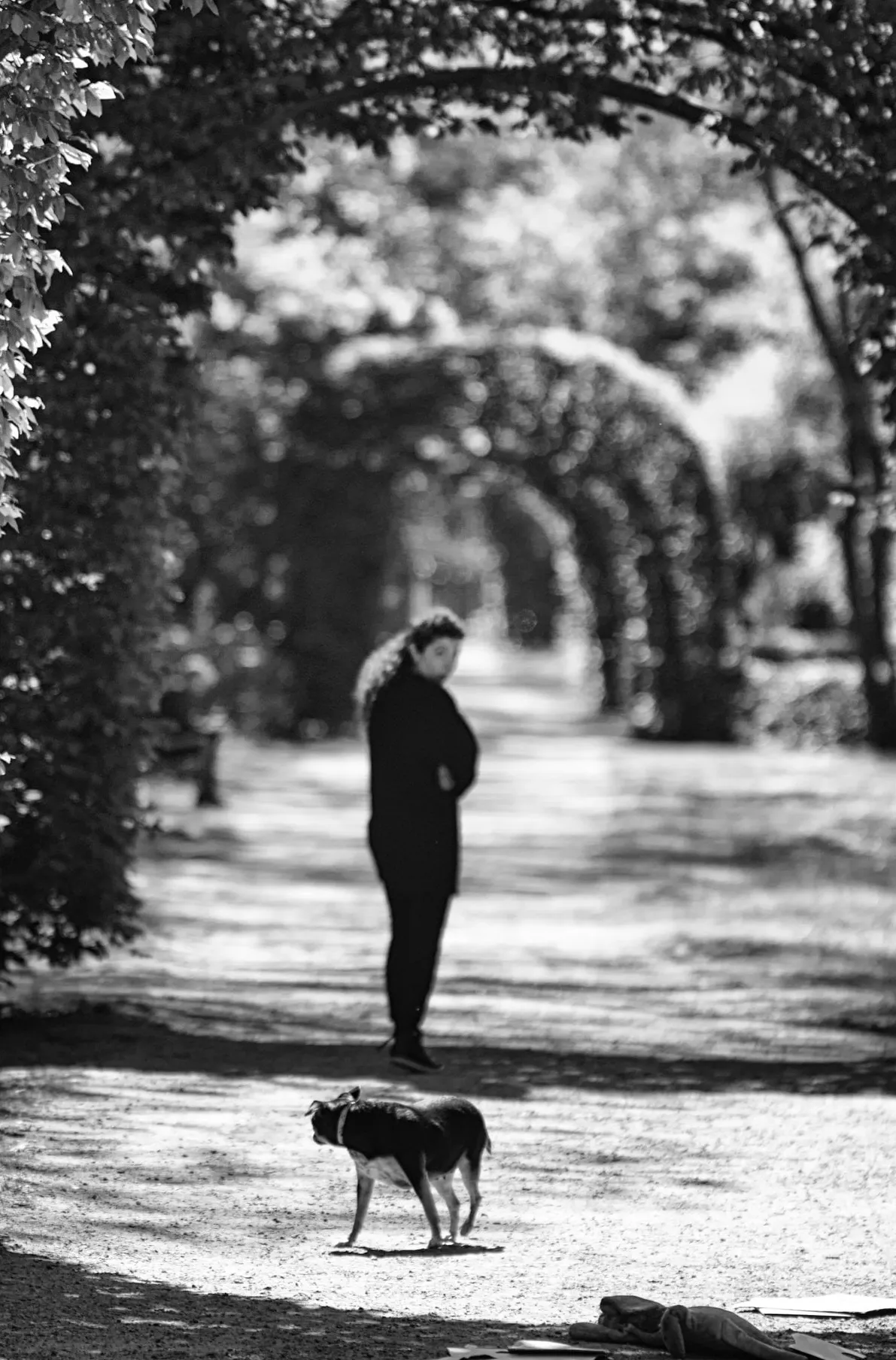 Autor: © Korneli Nastas. Alle Rechte vorbehalten.